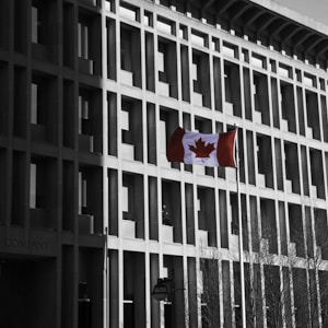 A Canadian flag flutters on a pole in front of a modern, geometric office building with rectangular windows. The monochrome backdrop highlights the vivid red and white colors of the flag. Leafless trees flank the foreground, adding starkness to the scene.