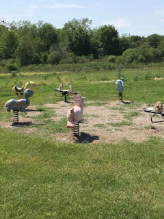 A group of happy animals enjoying a sunny afternoon in the safe outdoor play area at the ranch.