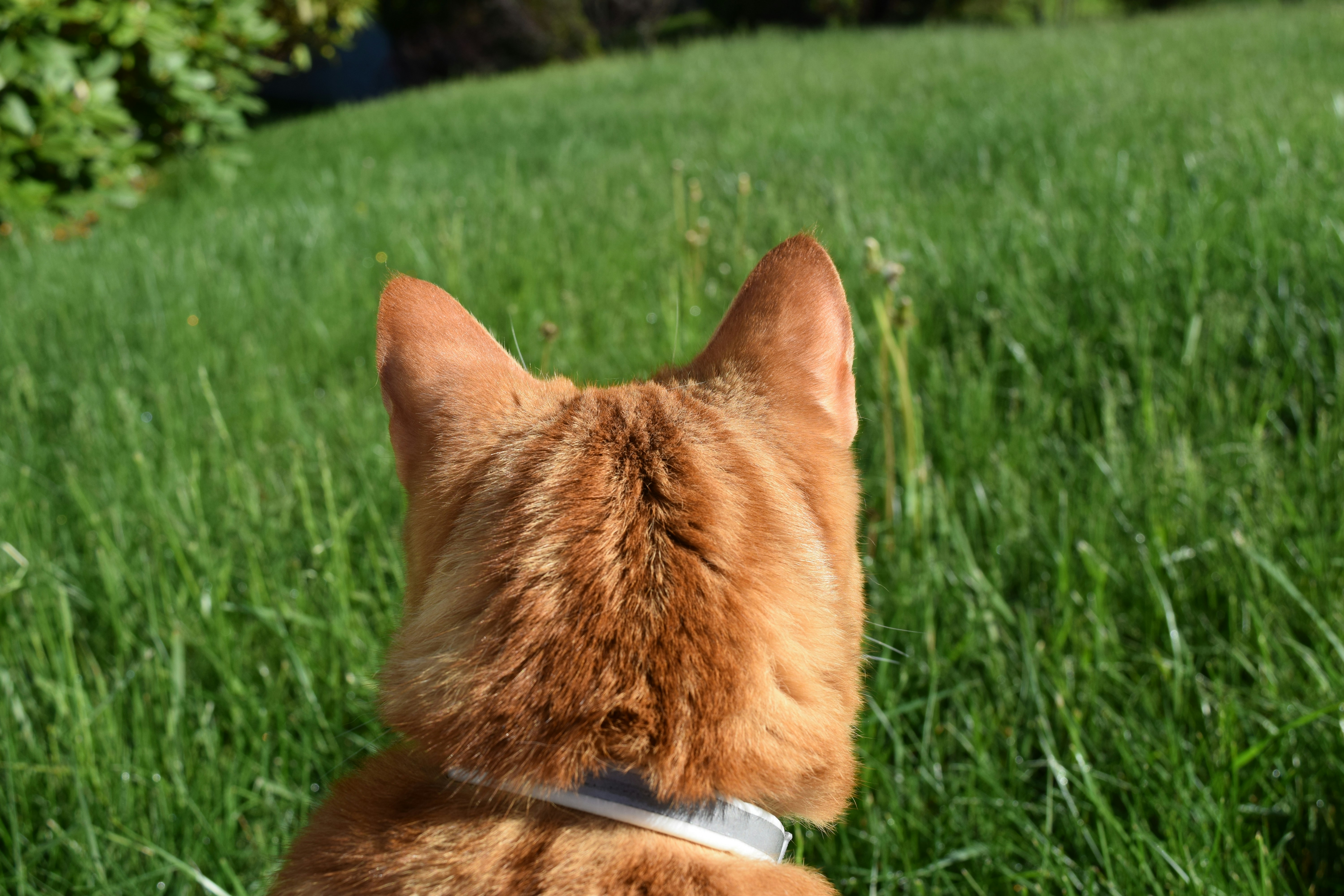 photo-1504290763999-880af75c8403?ixlib=rb-1.2.1&ixid=eyJhcHBfaWQiOjEyMDd9&auto=format&fit=crop&w=1500&q=80