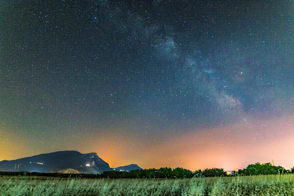 grass field under starry sky