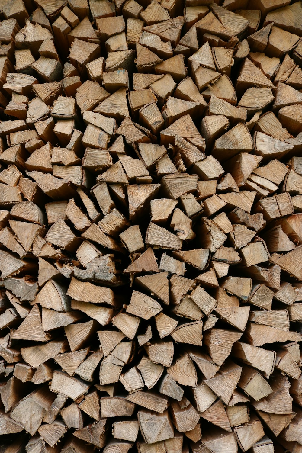 foto ravvicinata di legna da ardere