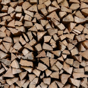 closeup photo of firewoods