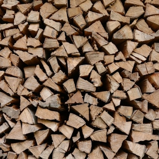 closeup photo of firewoods