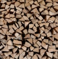 closeup photo of firewoods