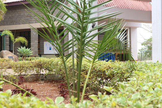 A landscaped outdoor area featuring various green plants and shrubs in the foreground. The background displays a building with stone walls and a red roof, partially covered by the foliage. There is a pathway leading towards the entrance of the building, and signage can be seen in the distance.