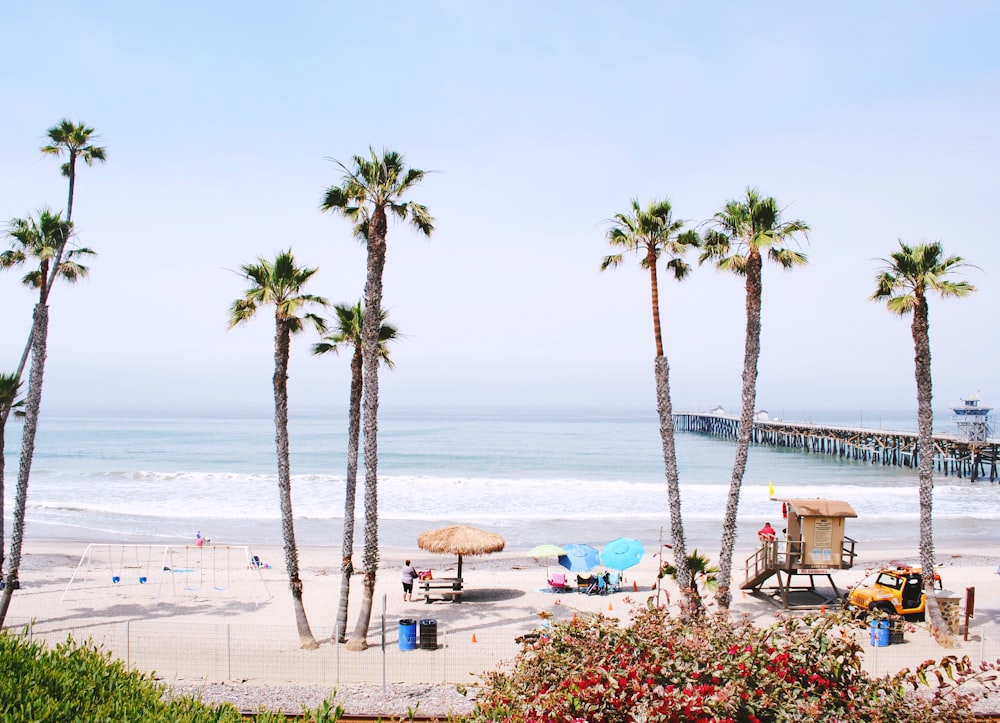 people on beach during daytime