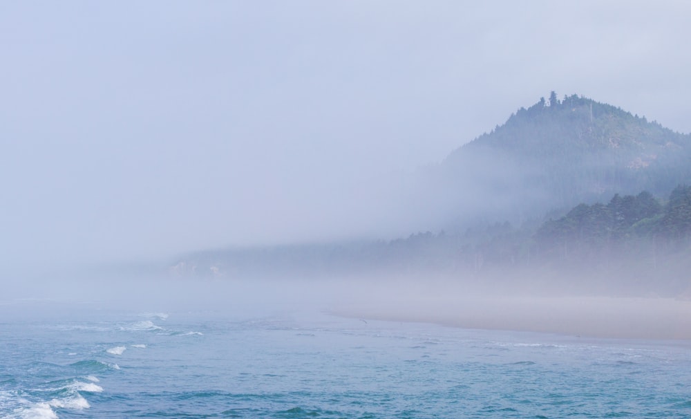 beach covered in fog during daytime