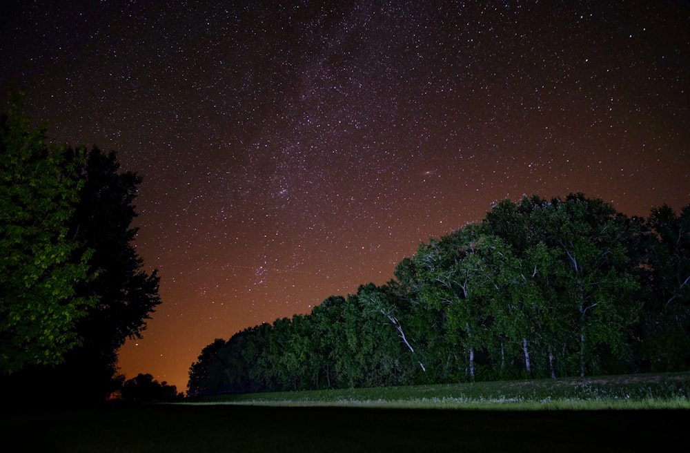 the night sky is filled with stars and trees