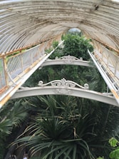 A metal and glass greenhouse structure with intricate decorative designs on the beams is partially covered by lush green tropical plants. The perspective shows a walkway beneath the curved roof, highlighting the contrast between the industrial elements and the vibrant foliage.