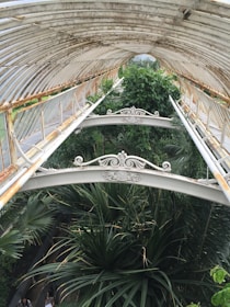 A metal and glass greenhouse structure with intricate decorative designs on the beams is partially covered by lush green tropical plants. The perspective shows a walkway beneath the curved roof, highlighting the contrast between the industrial elements and the vibrant foliage.