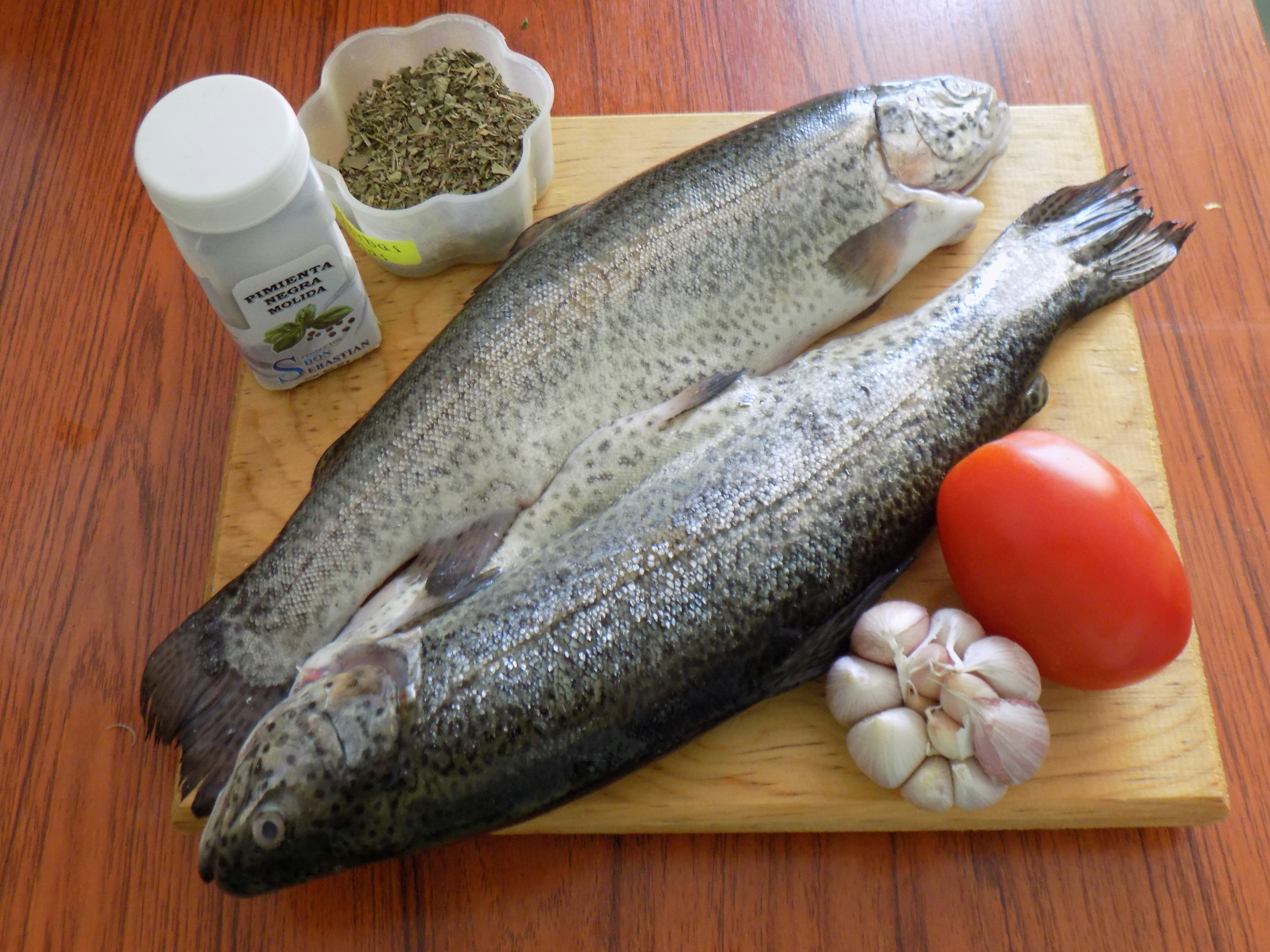 photo 1504308379256 5ada1d116eed?ixlib=rb 4.0