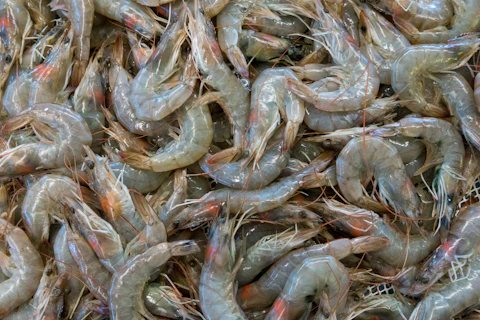 Camarones en el mercado de mariscos