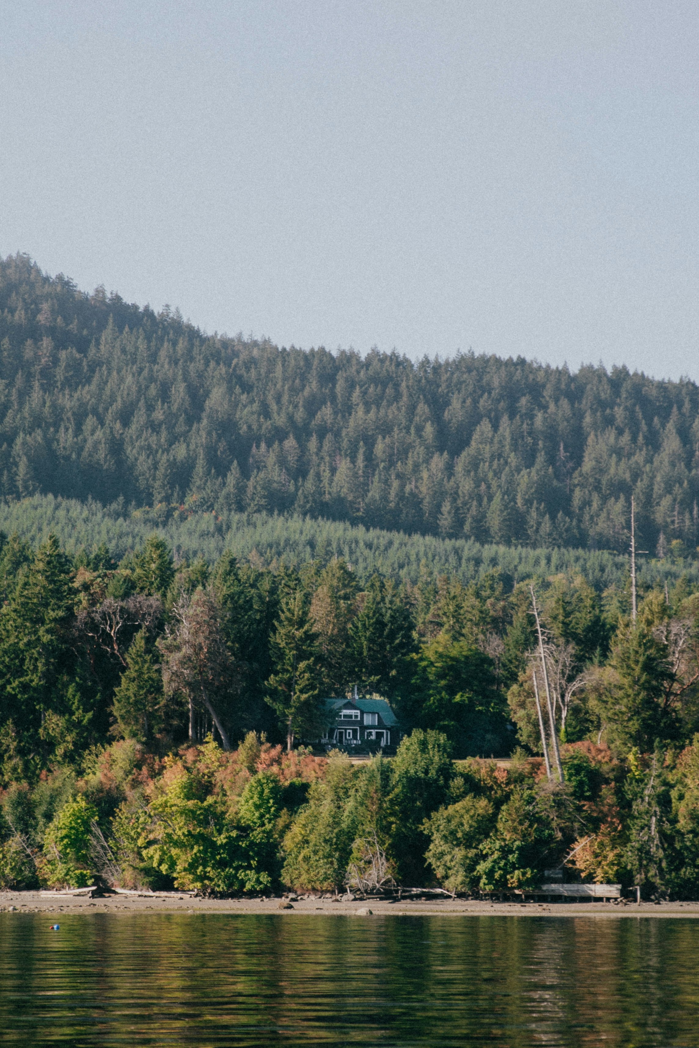 blue house surrounded with tall and green trees near lake