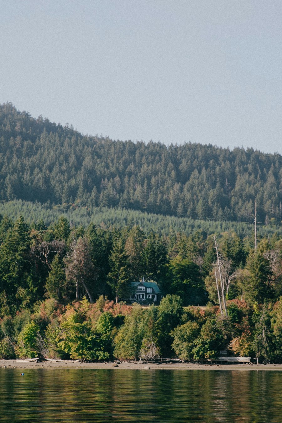 Green-roofed waterfront house tucked into conifers above calm Puget Sound water