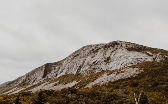 landscape photography of mountain in Franconia Notch State Park United States