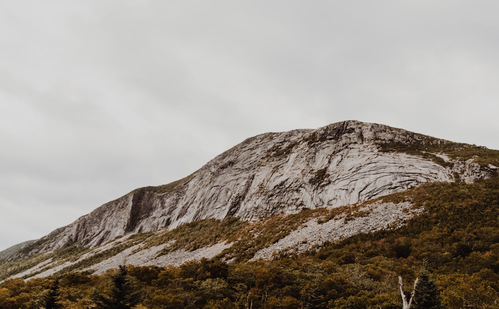 landscape photography of mountain