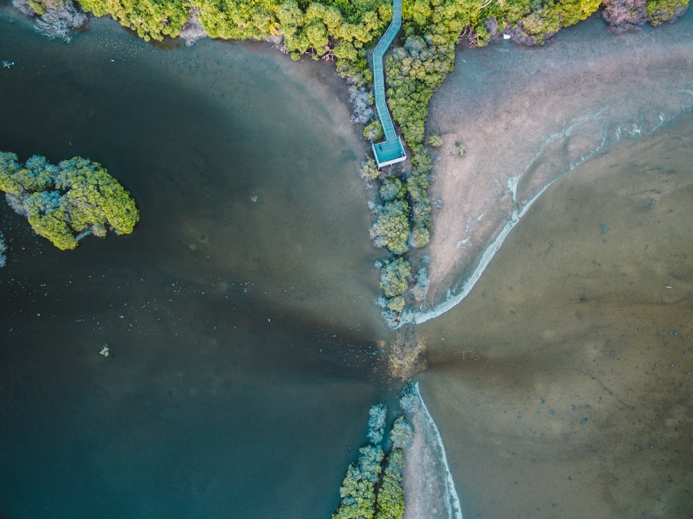 bird's-eye view of body of water and trees