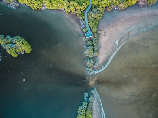 bird's-eye view of body of water and trees in Hithadhoo Maldives