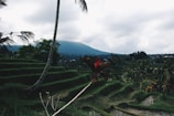 Tranquil rice terraces in Huahin with lush greenery stretching into the horizon