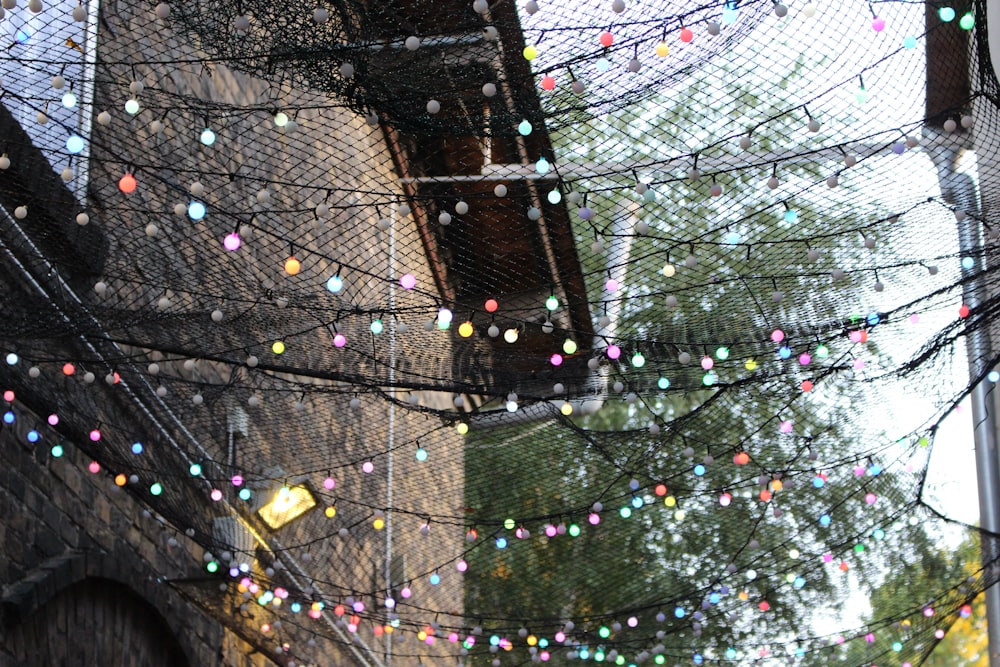 string lights between brown houses during daytime