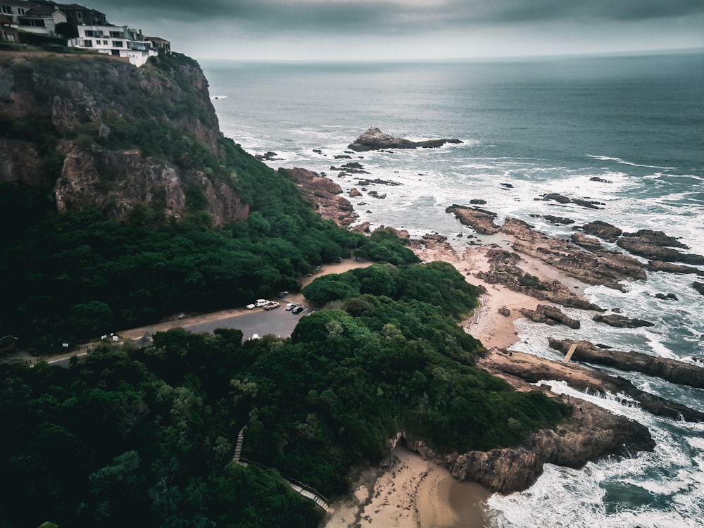 forest peninsula on seaside with cliff during daytime