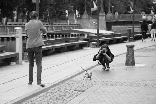A photographer kneels on a cobblestone pathway, aiming their camera at a small dog wearing a striped outfit. The dog is on a leash held by a person standing on the left side. The scene takes place on a walkway near a body of water, with benches and trees in the background. Pedestrians are walking in the distance.