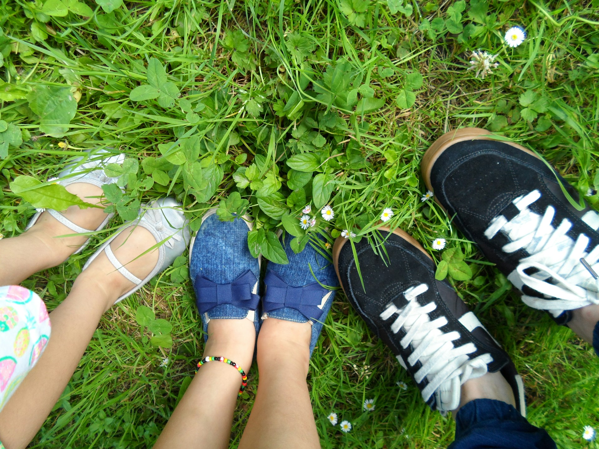 Various footwear such as silver sandals, blue shoes with bows, and black sneakers with white laces stand on a patch of verdant grass. Small white daisies are scattered among the green leaves.