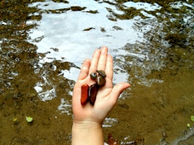 A hand is held out over shallow water, displaying several smooth, colorful stones. The hand is positioned above a creek or stream, and the water beneath it is clear and reflective. The streambed is visible, with small rocks and sand.