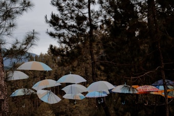 A cluster of umbrellas is suspended in mid-air among tall pine trees, with a backdrop of a forested landscape. The umbrellas vary in color, featuring light blues, whites, and some patterns. The setting appears quiet and serene with a natural and artistic display.