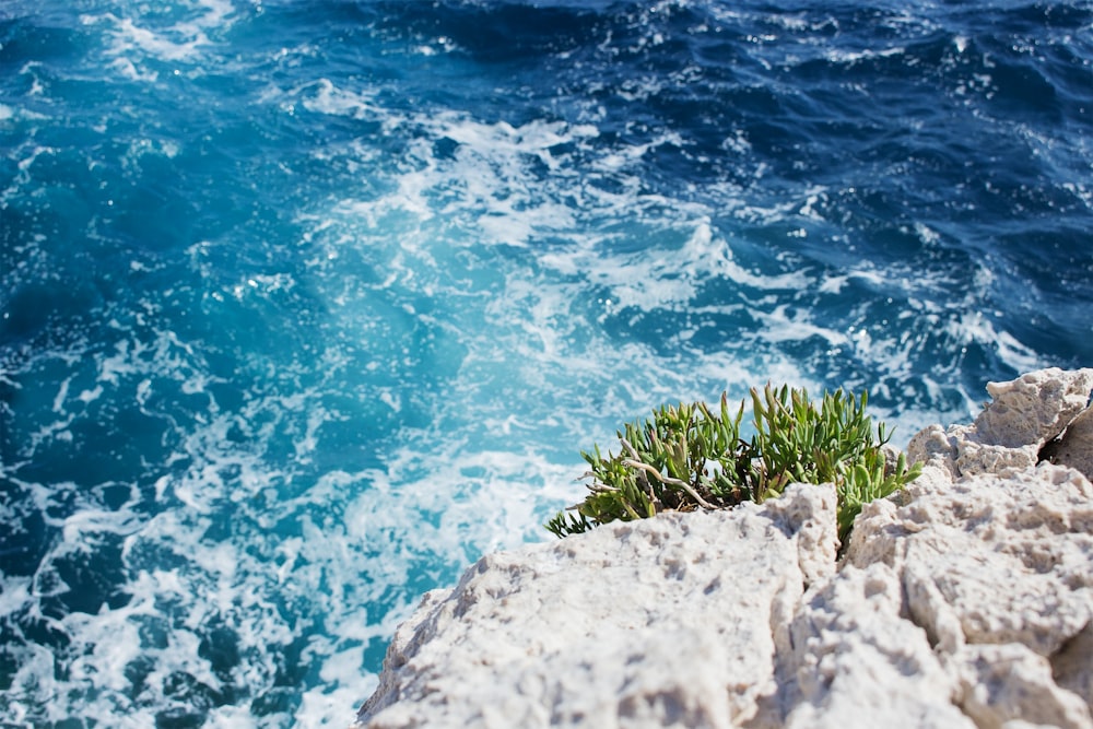 photo of sea waves and boulders