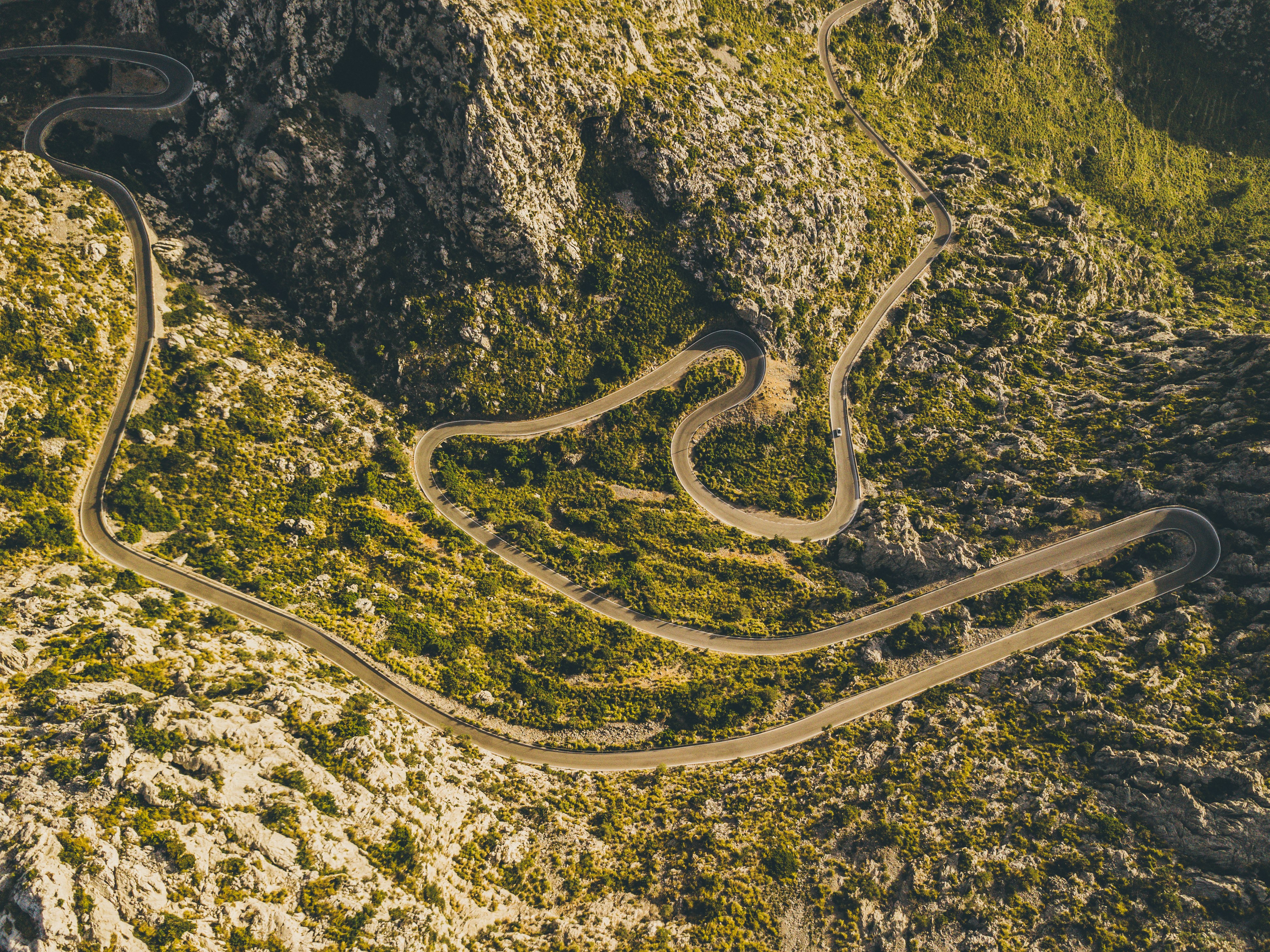 aerial view of green grass near road