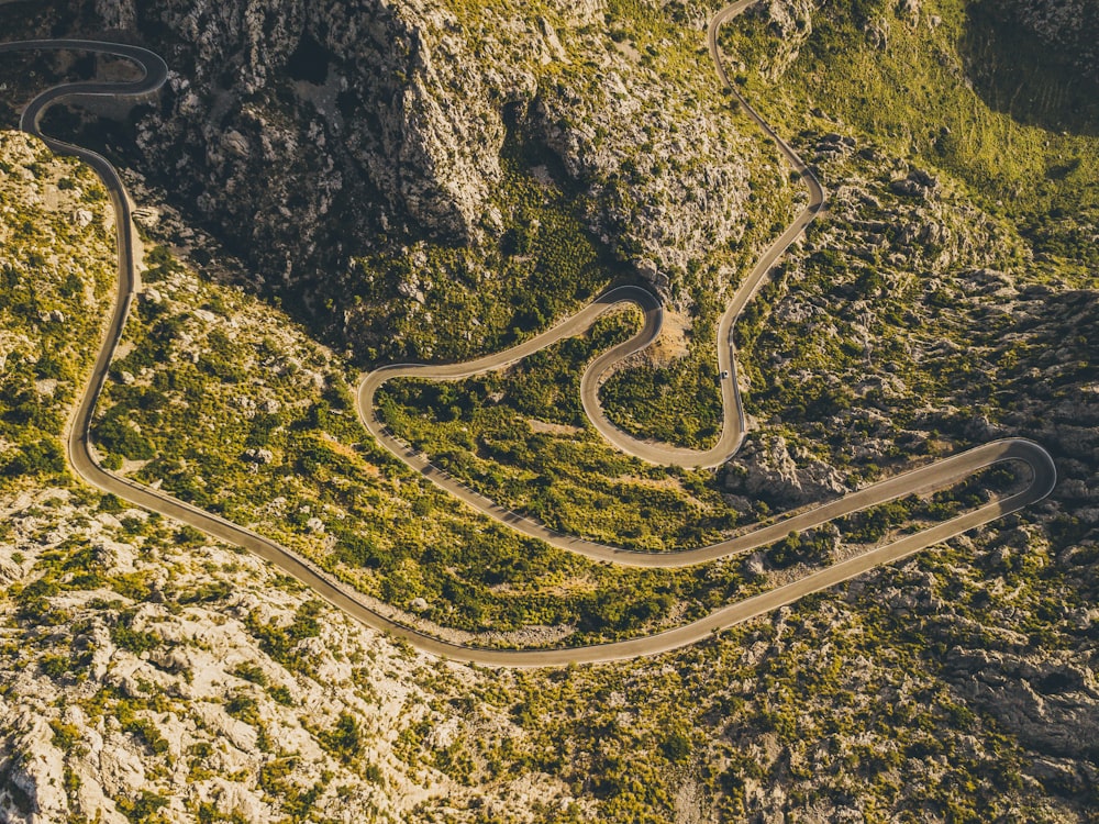 Veduta aerea dell'erba verde vicino alla strada