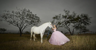 girl holding white horse head