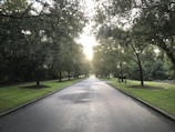 Close-up of a well-paved 12m concrete road lined with young trees in Shri Hari Baug.