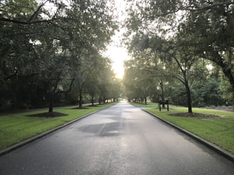A paved road lined with trees inside U.S. Society residential township.