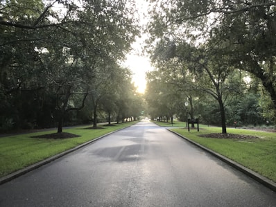 A paved road lined with trees inside U.S. Society residential township.