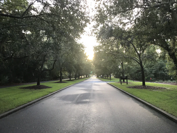 Neatly paved 40' and 30' wide concrete roads lined with fresh avenue plantation.