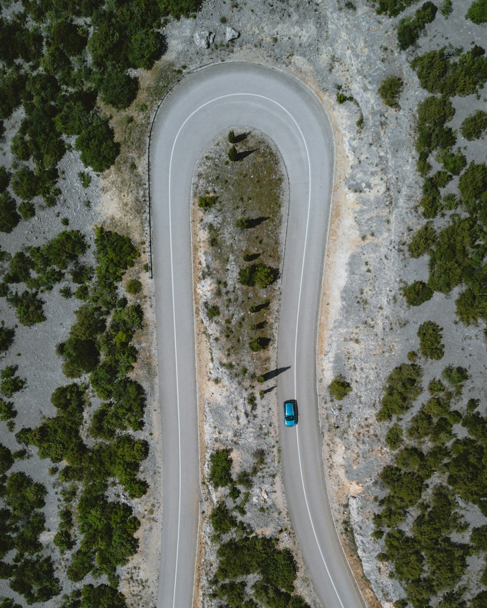 木々に囲まれた道路を通過する車の空撮