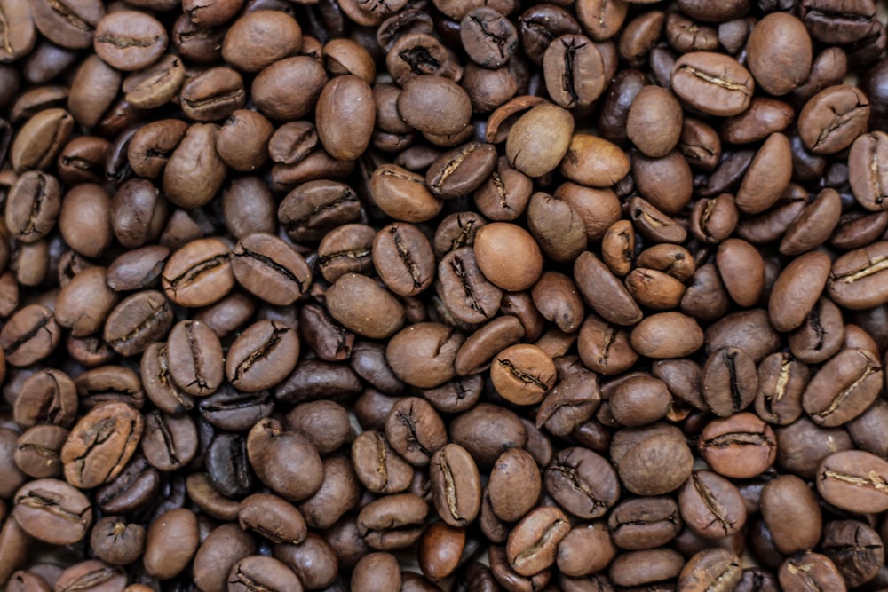 Foto de primer plano de granos de café