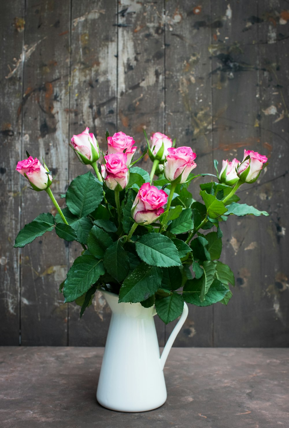 pink rose flowers in white vase