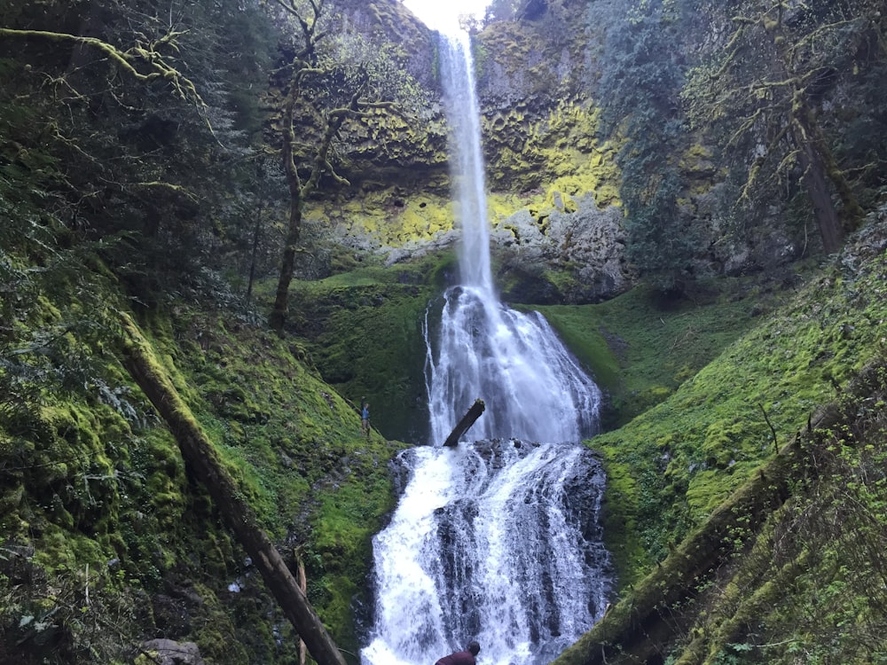 Wasserfälle reißen durch Moos