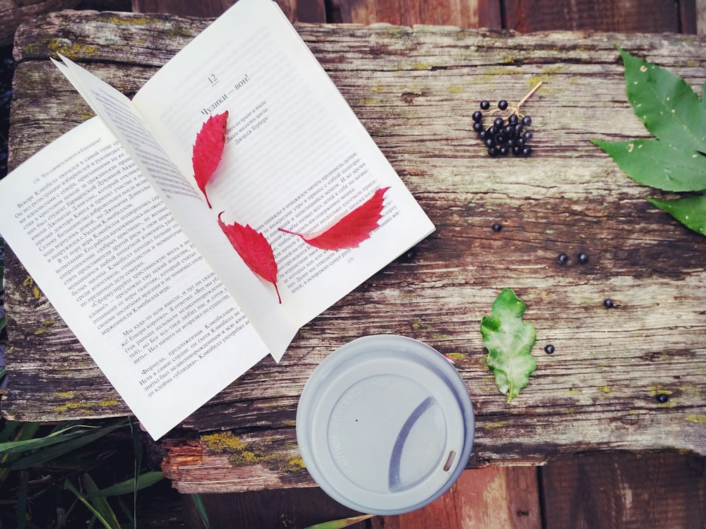 red leaves on opened book