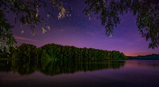 forest and body of water during night in Tiszafüred Hungary