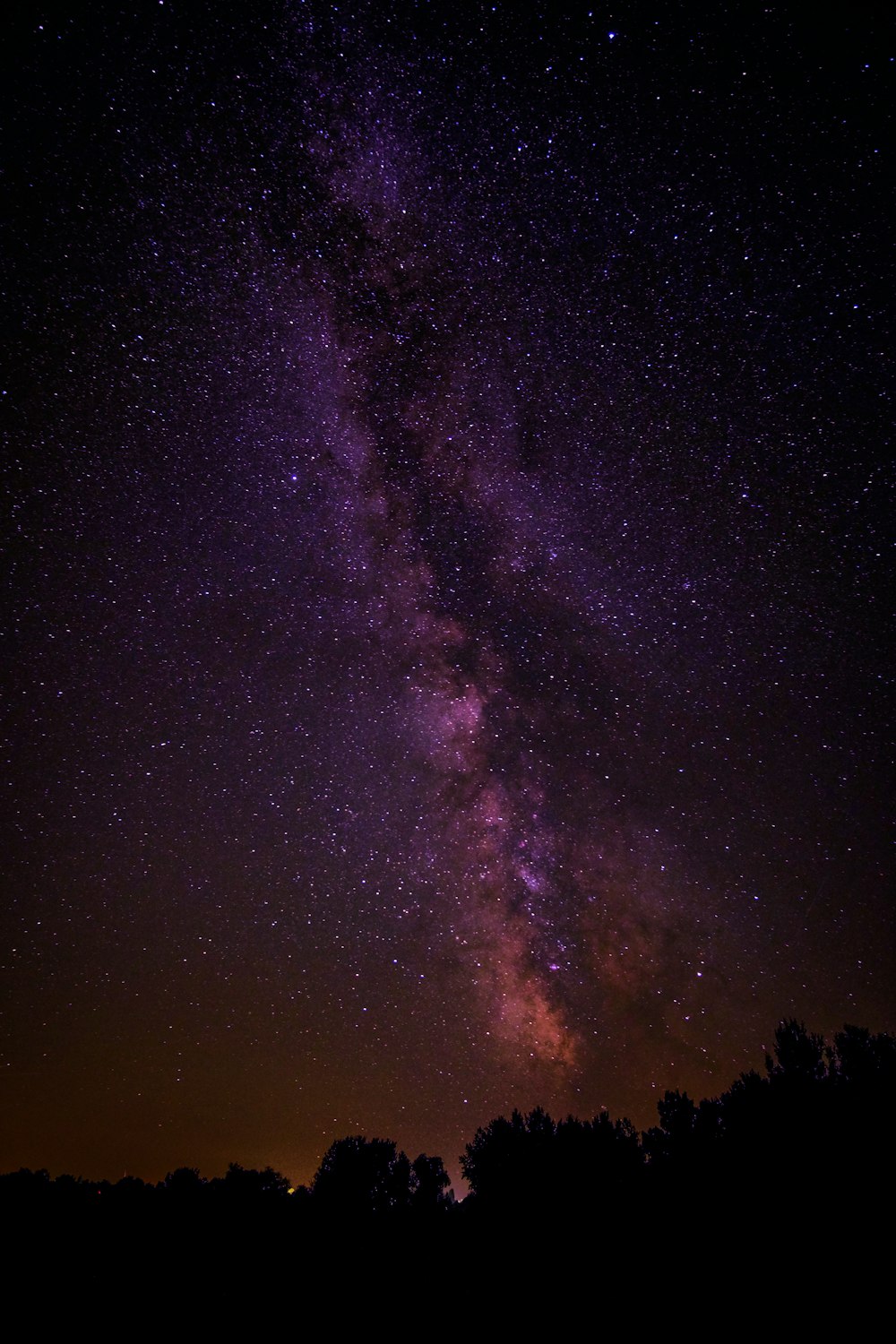 silhouette of trees under milky way