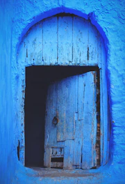 An elegant vintage door freshly painted in deep navy blue, standing against a rustic brick wall.