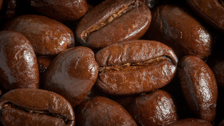 Close-up of glossy coffee beans with golden light reflections on a matte black surface.