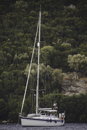 The Fenix anchored close to the pristine waters of Praia do Forte with lush greenery in the background.