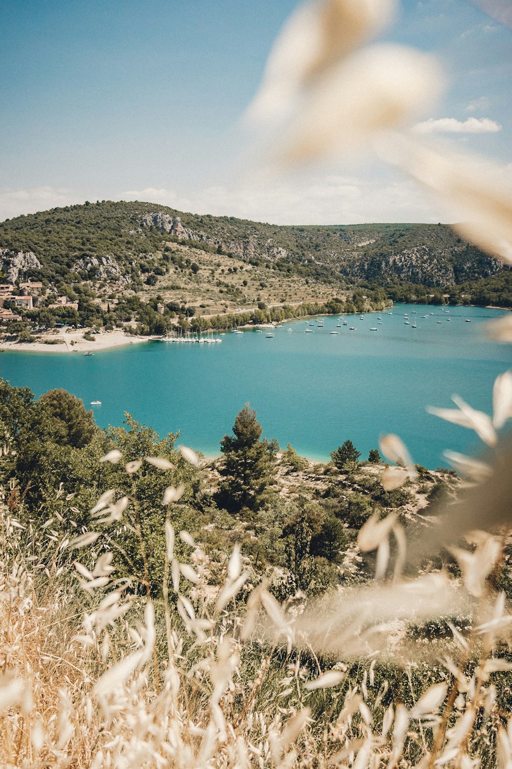 landscape photography of body of water surrounded by trees