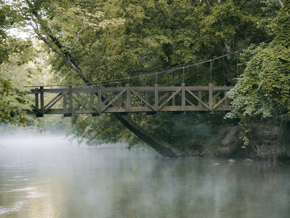 brown wooden bridge near lake