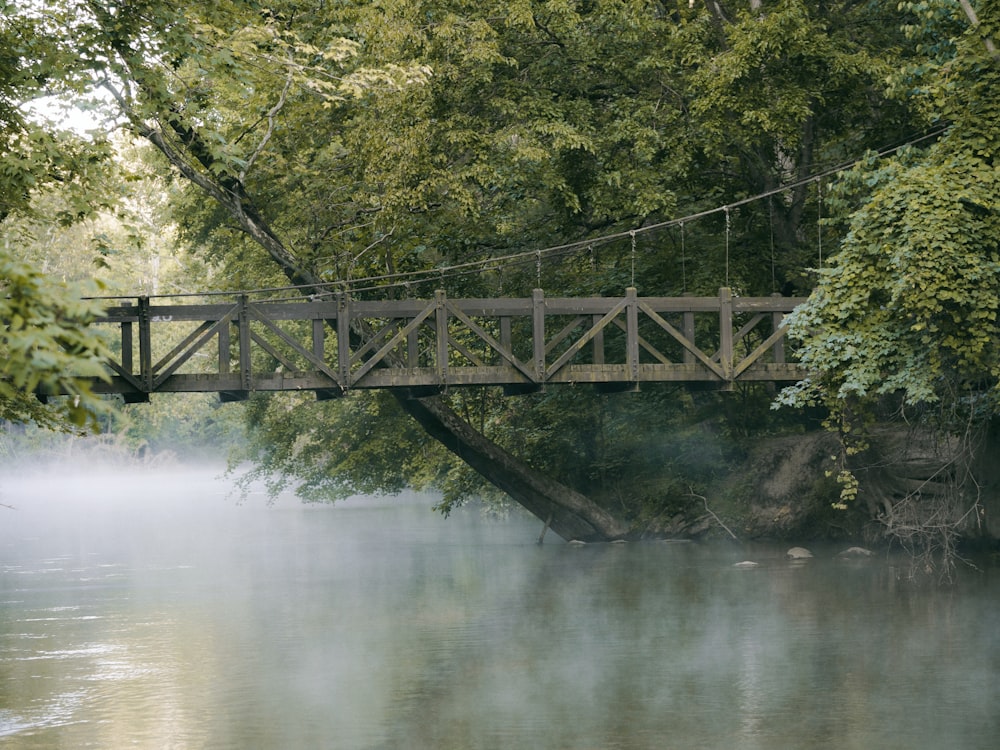 湖畔の茶色の木造橋